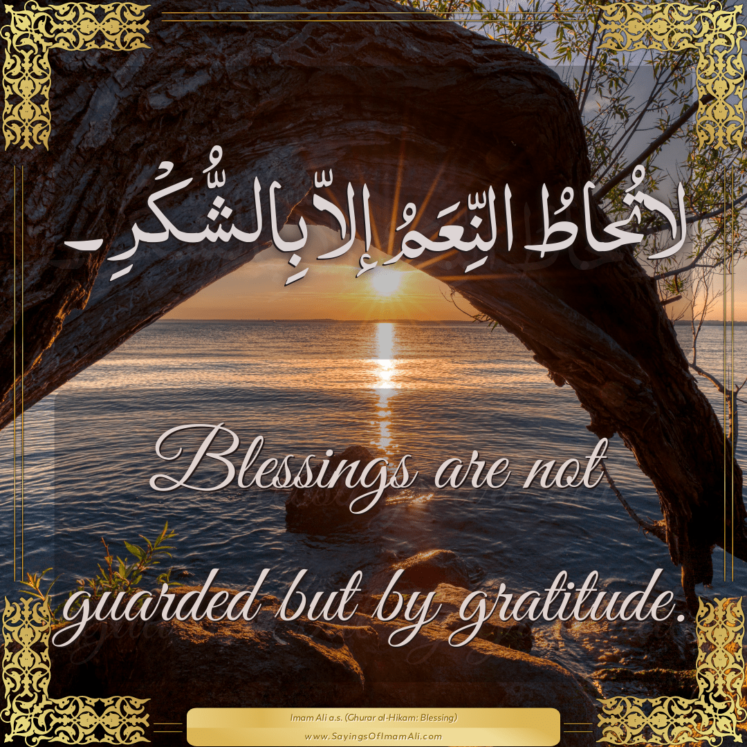 Blessings are not guarded but by gratitude.